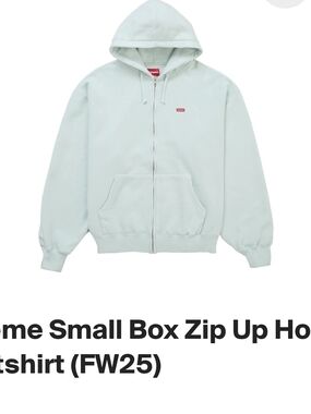 Supreme Small Box Logo Zip-up Mint Green Size XXL Brand New 100% Authentic
